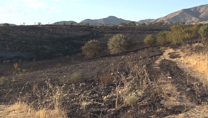 Haber Detay Görseli