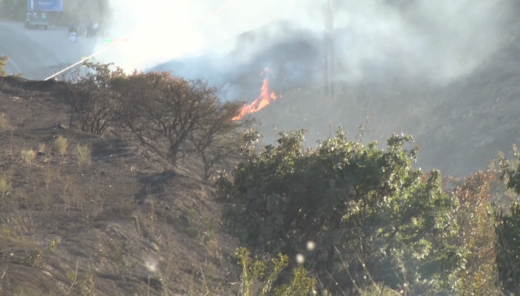 Haber Detay Görseli