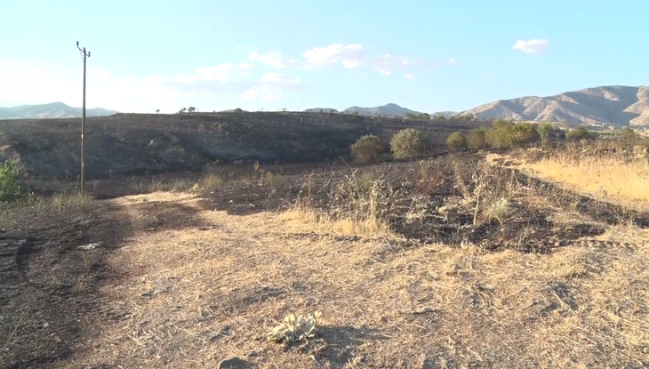 Haber Detay Görseli