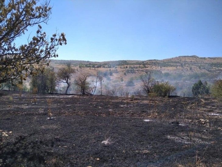 Haber Detay Görseli