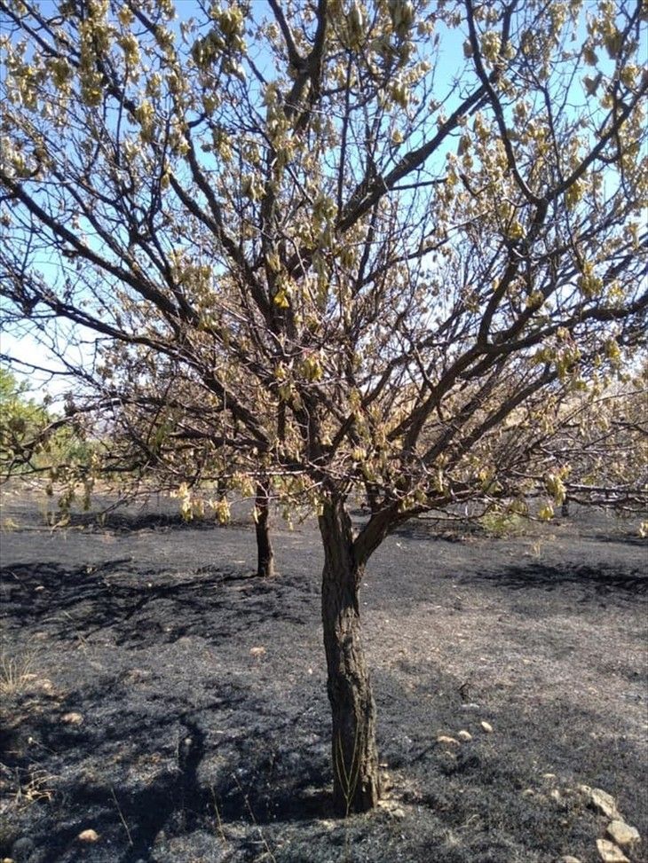 Haber Detay Görseli