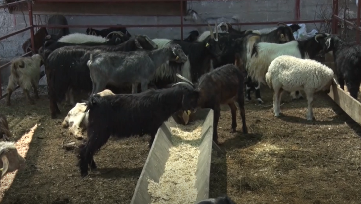 Haber Detay Görseli