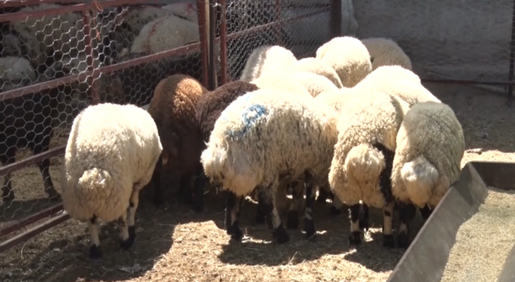 Haber Detay Görseli