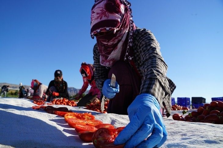 Haber Detay Görseli