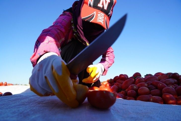 Haber Detay Görseli