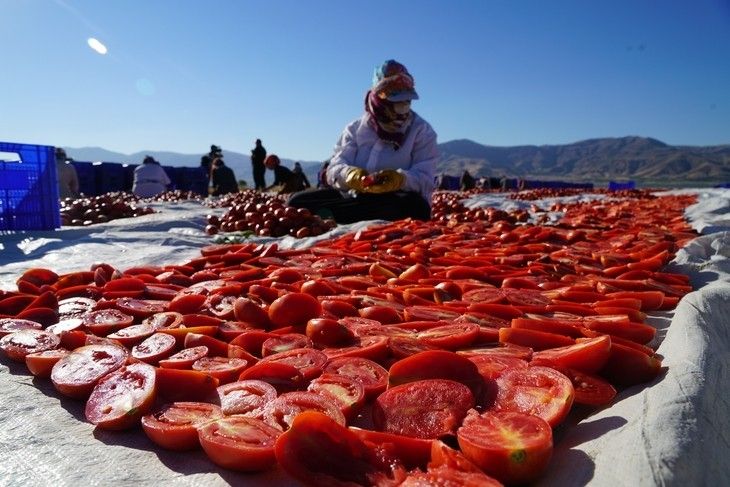 Haber Detay Görseli