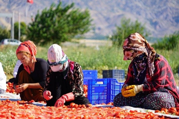 Haber Detay Görseli