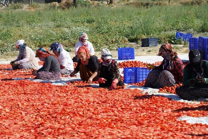 Haber Detay Görseli