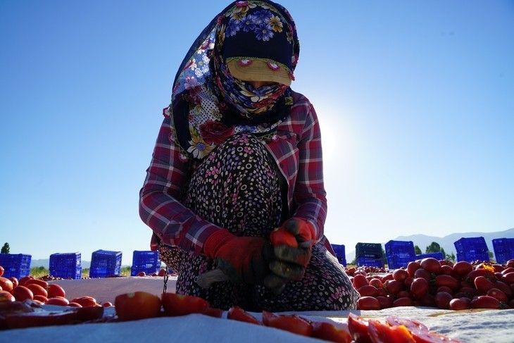 Haber Detay Görseli