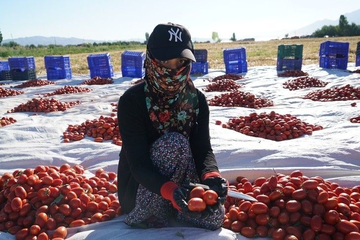 Haber Detay Görseli