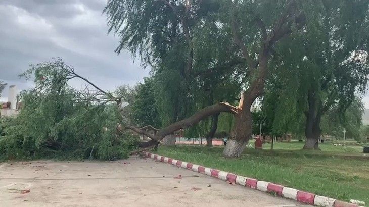 Haber Detay Görseli