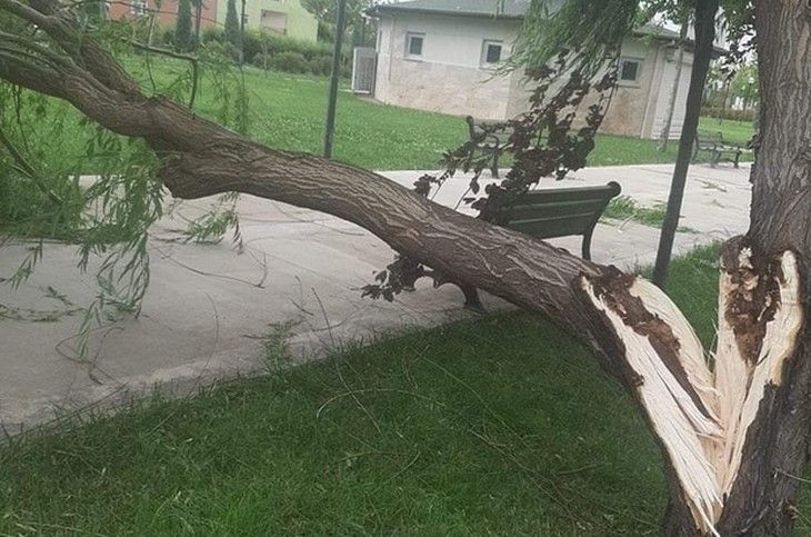 Haber Detay Görseli