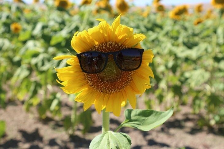 Haber Detay Görseli