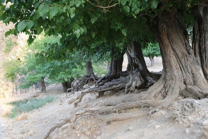 Haber Detay Görseli