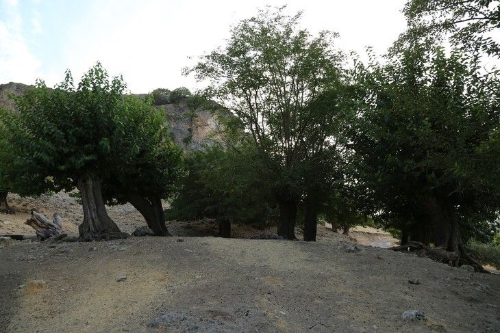 Haber Detay Görseli