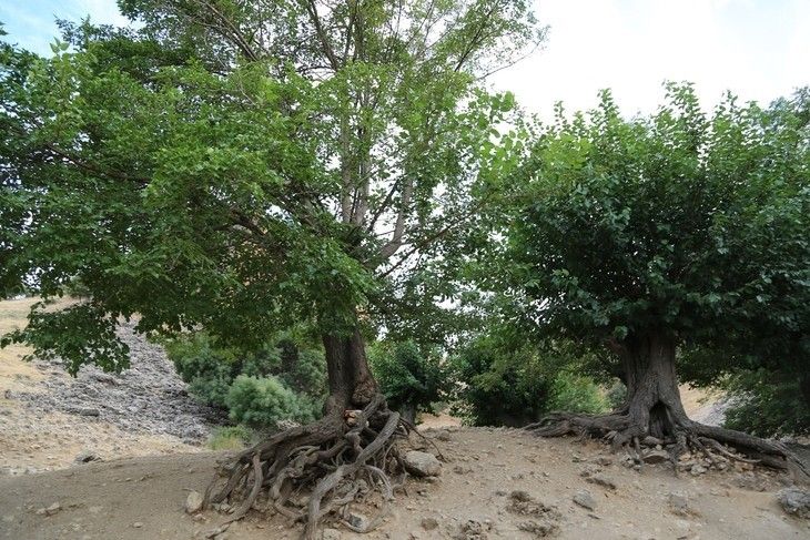 Haber Detay Görseli