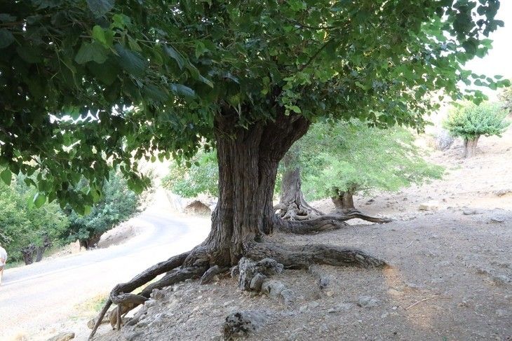 Haber Detay Görseli