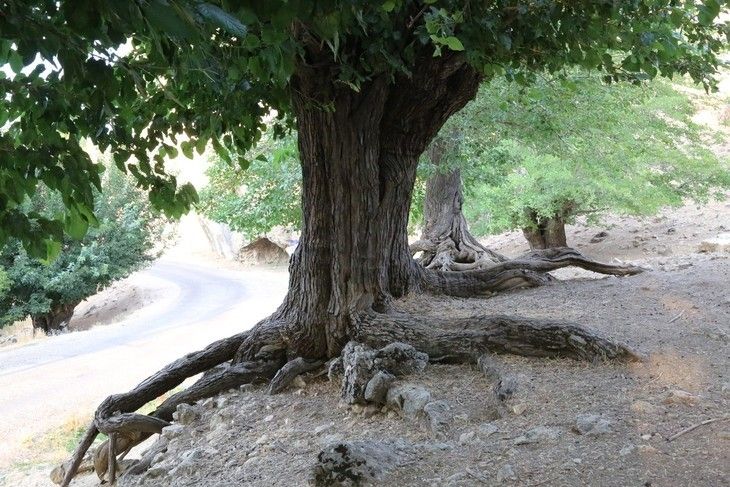 Haber Detay Görseli