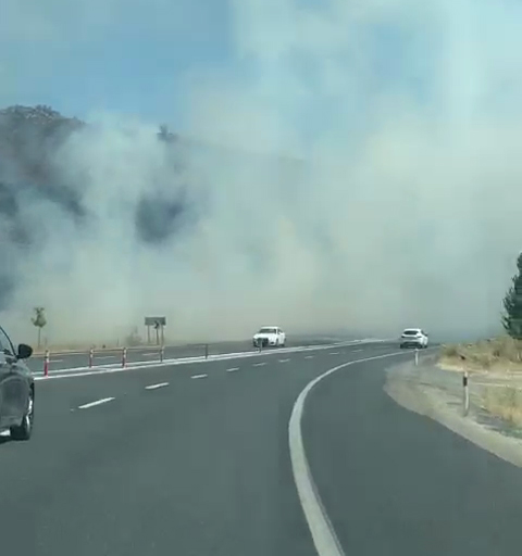 Haber Detay Görseli