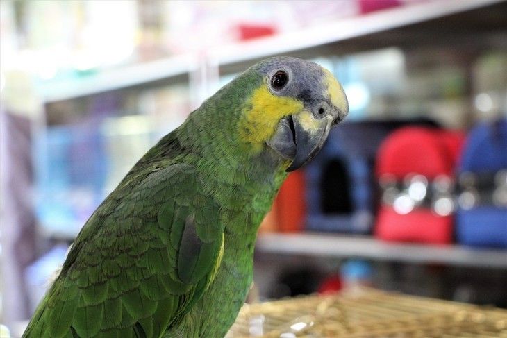 Haber Detay Görseli