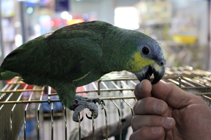 Haber Detay Görseli