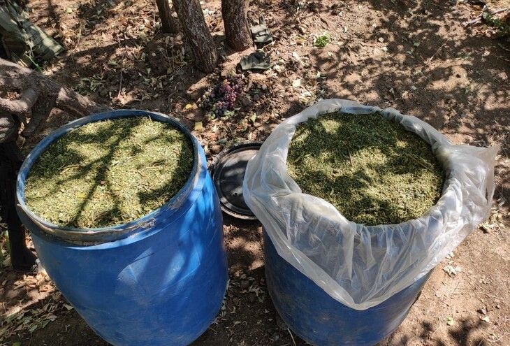 Haber Detay Görseli