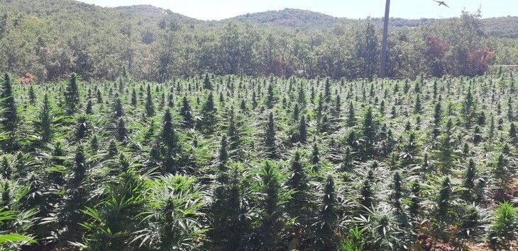 Haber Detay Görseli