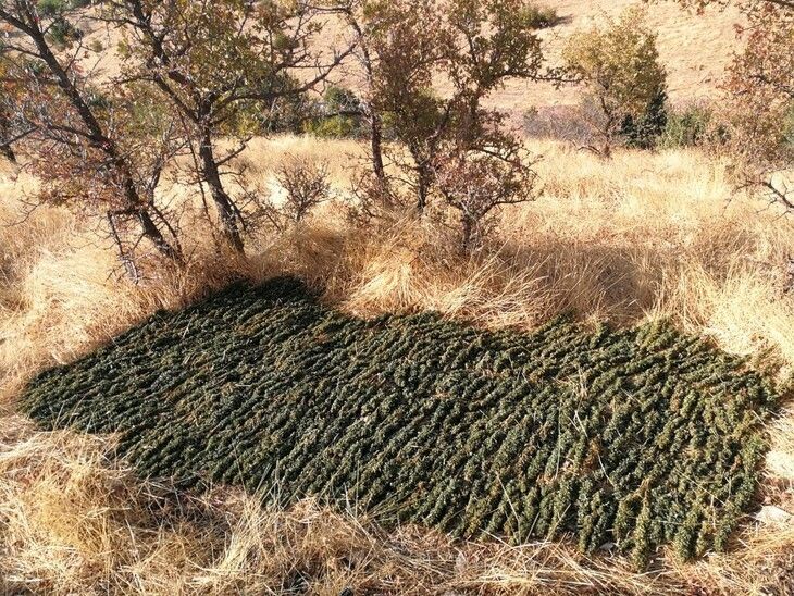 Haber Detay Görseli