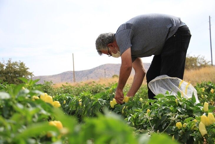 Haber Detay Görseli