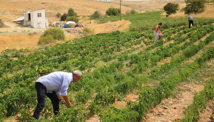 Haber Detay Görseli