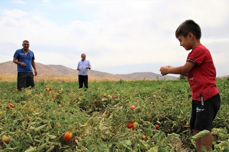 Haber Detay Görseli