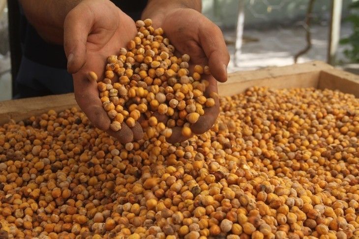 Haber Detay Görseli