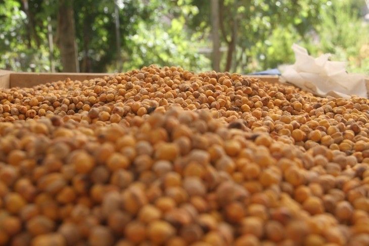 Haber Detay Görseli