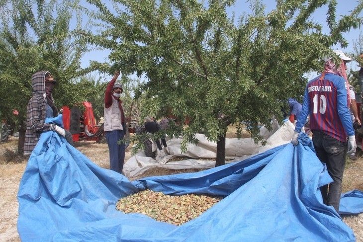 Haber Detay Görseli