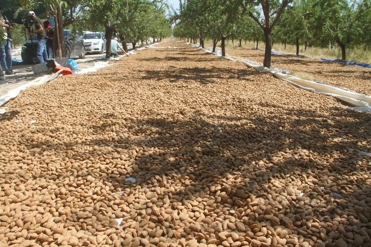 Haber Detay Görseli