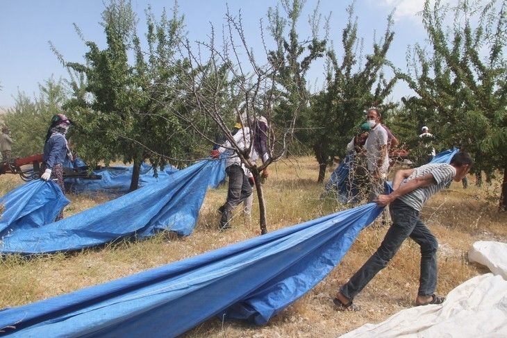 Haber Detay Görseli