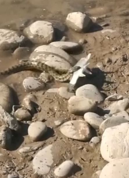 Haber Detay Görseli