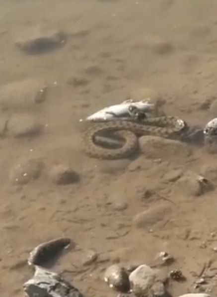 Haber Detay Görseli