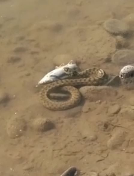 Haber Detay Görseli