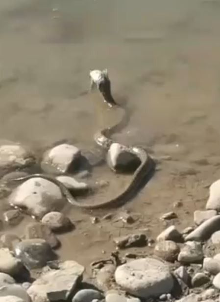 Haber Detay Görseli