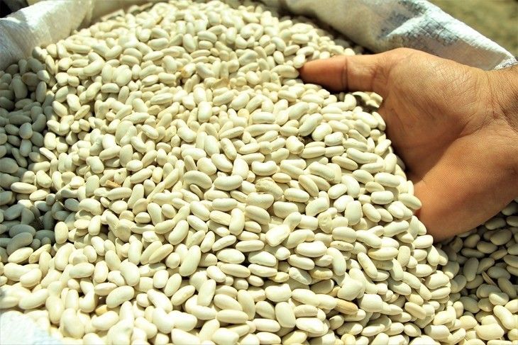 Haber Detay Görseli