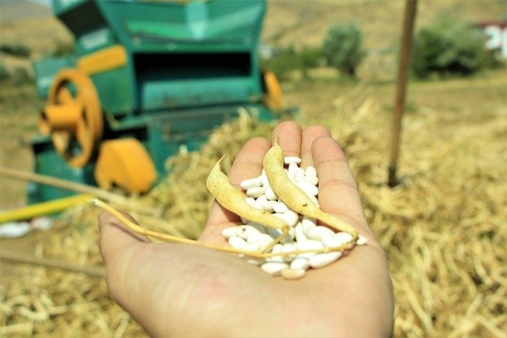 Haber Detay Görseli