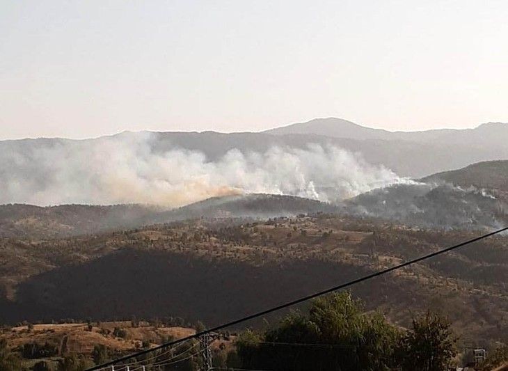 Haber Detay Görseli