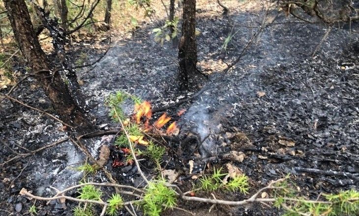 Haber Detay Görseli