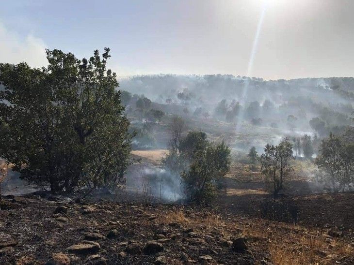 Haber Detay Görseli