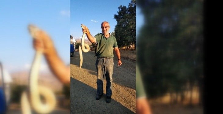 Haber Detay Görseli