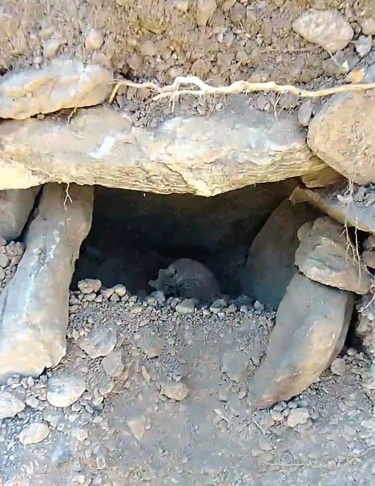 Haber Detay Görseli