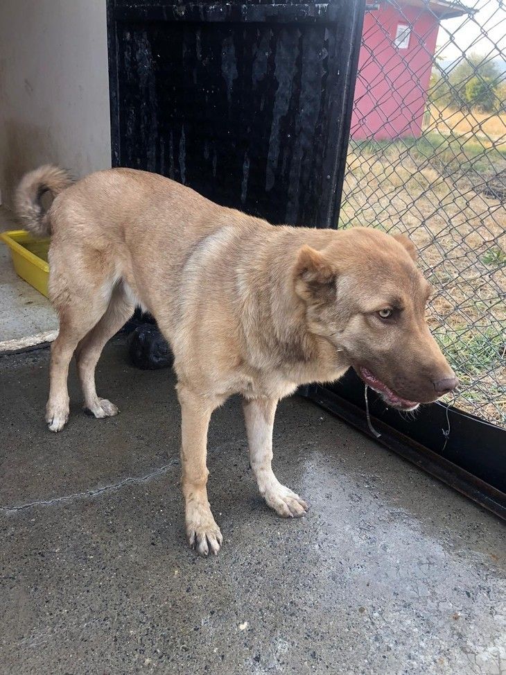 Haber Detay Görseli