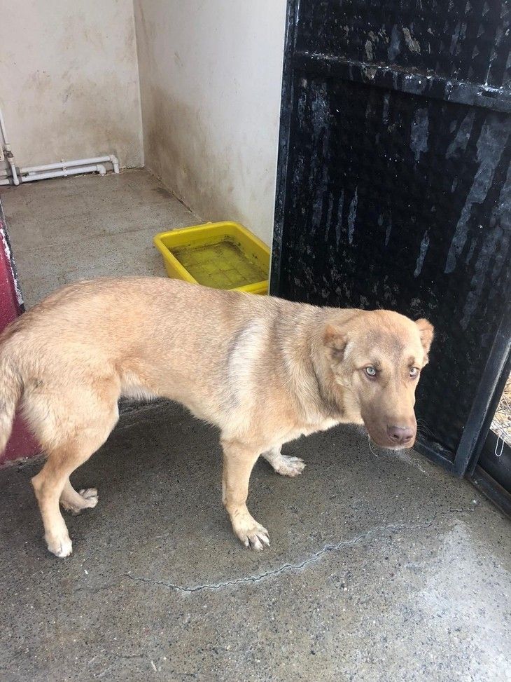 Haber Detay Görseli