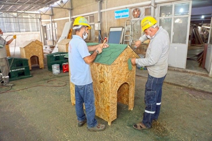 Haber Detay Görseli